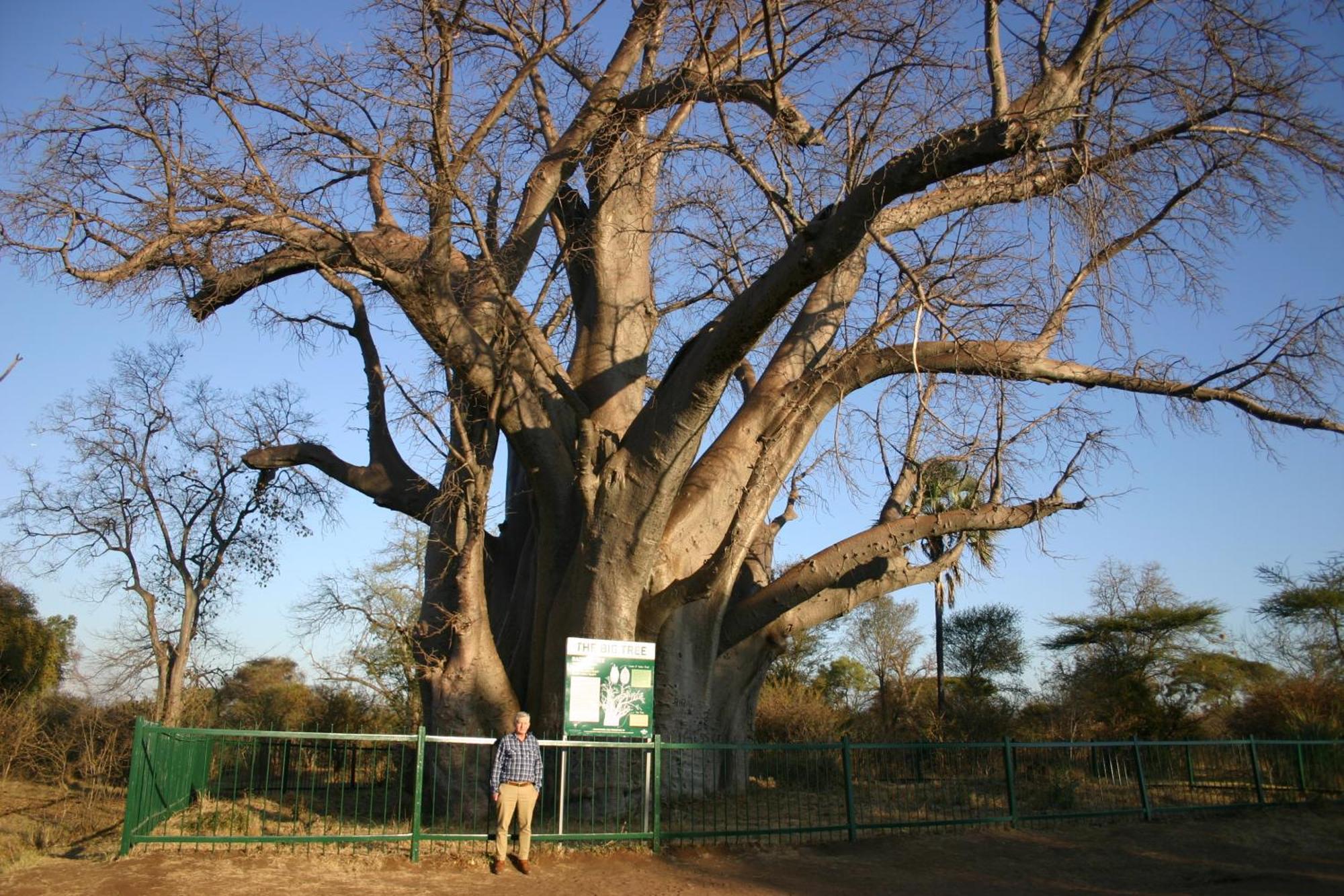 Room In Villa - Zambezi Family Lodge - Elephant Room Καταρράκτες Βικτωρίας Εξωτερικό φωτογραφία